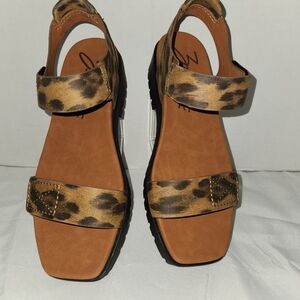 Zodiac Black and Brown Sandals Rugged Outdoor Design